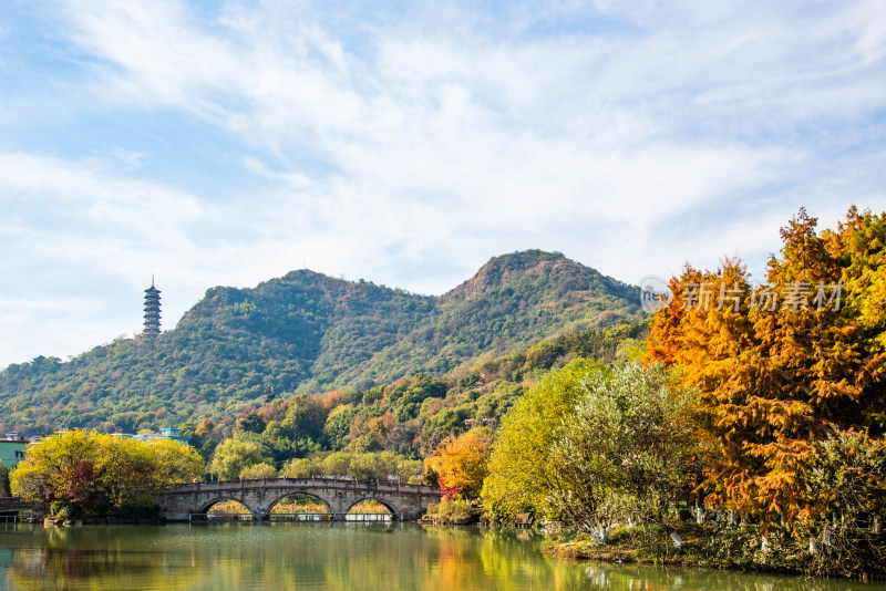 杭州湘湖秋天景观