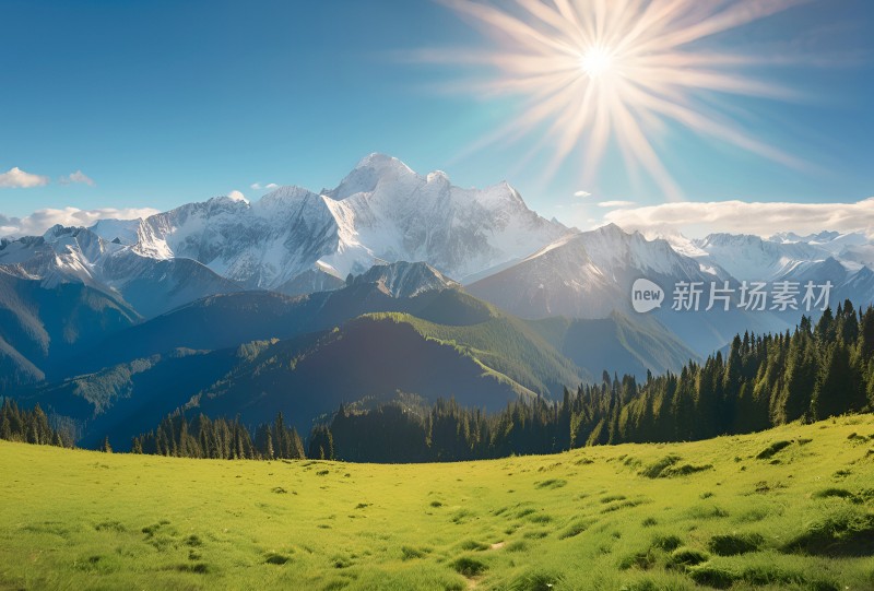 雪山高原草原森林风景