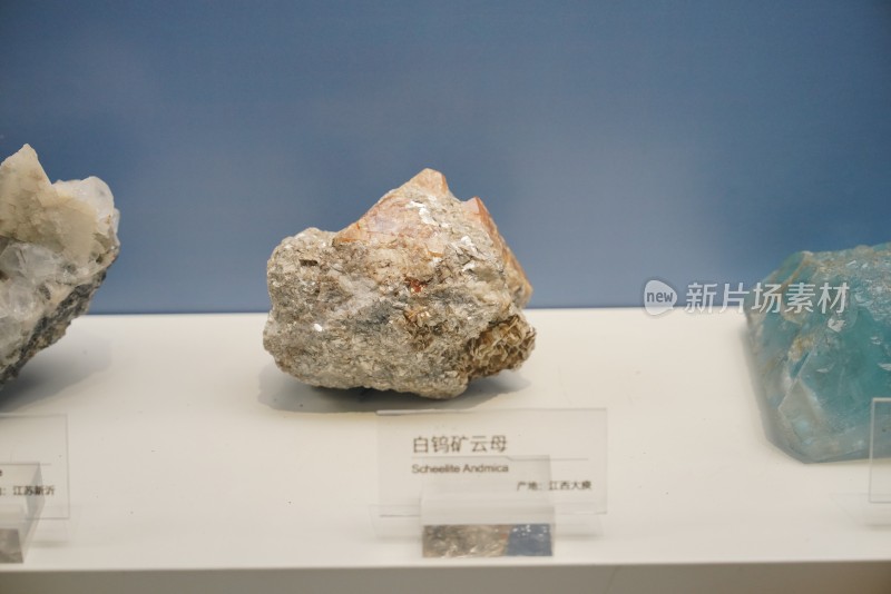 白钨矿云母矿石样本