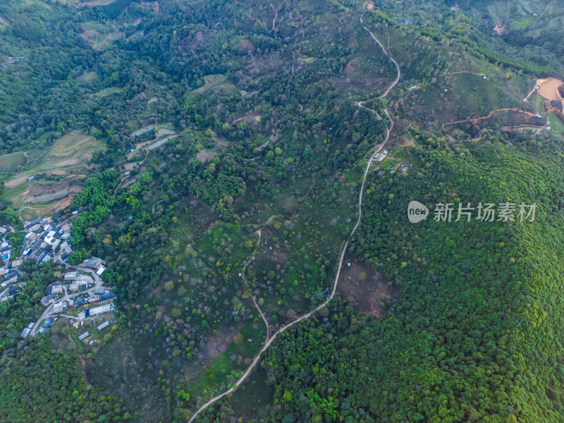 航拍被森林环绕的景迈山村庄全景