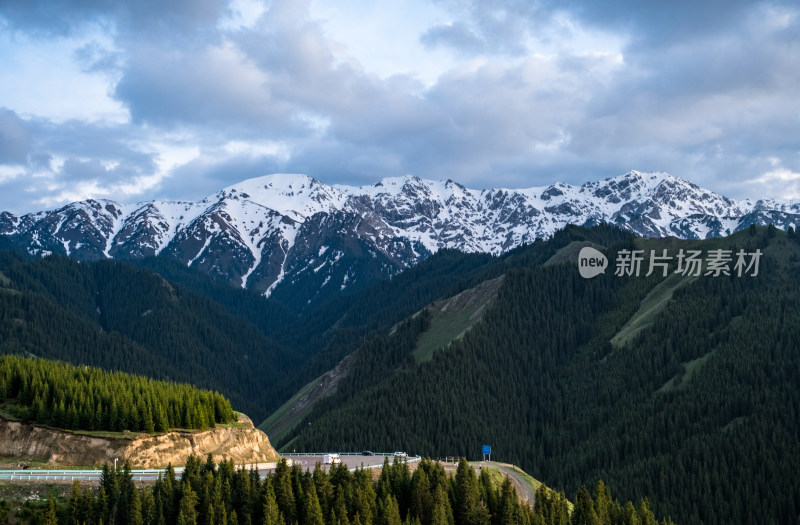 新疆伊犁蓝天白云下的雪山草原森林和公路