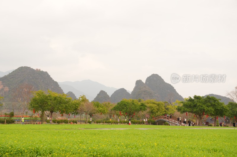 田野绿地与山峦背景的自然景观