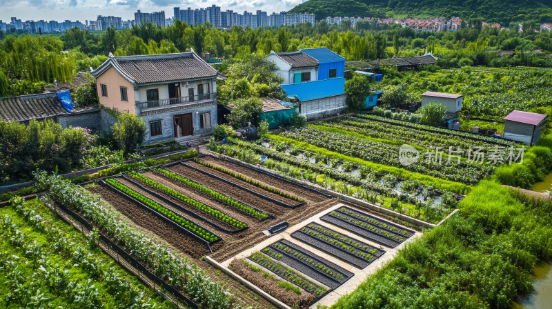 乡村别墅田园风光农村菜园自然风景