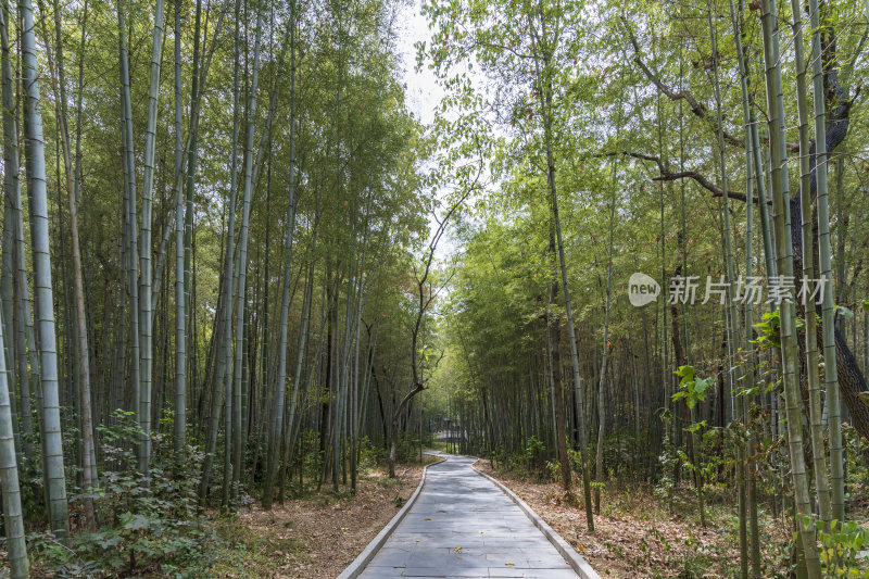 武汉江夏区熊廷弼公园熊公祠风景