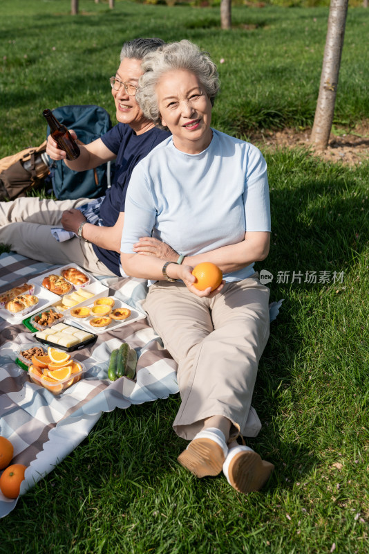 老年夫妻春游野餐