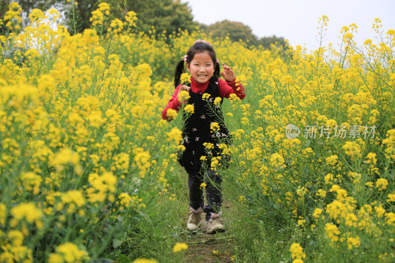 油菜花田里快乐奔跑的快乐女孩