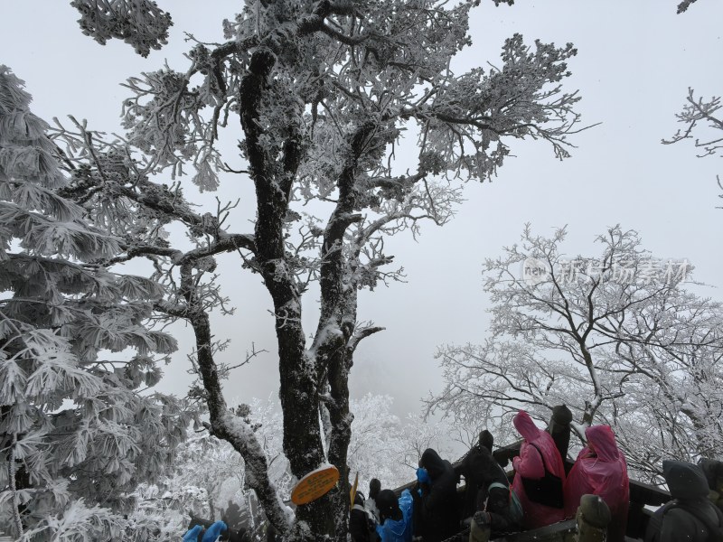 湖北武当山景区金顶冬季大雪登山游客