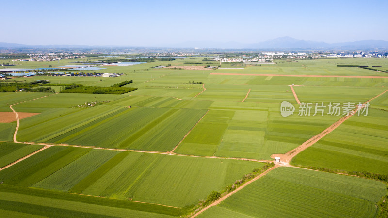 关中平原麦田航拍