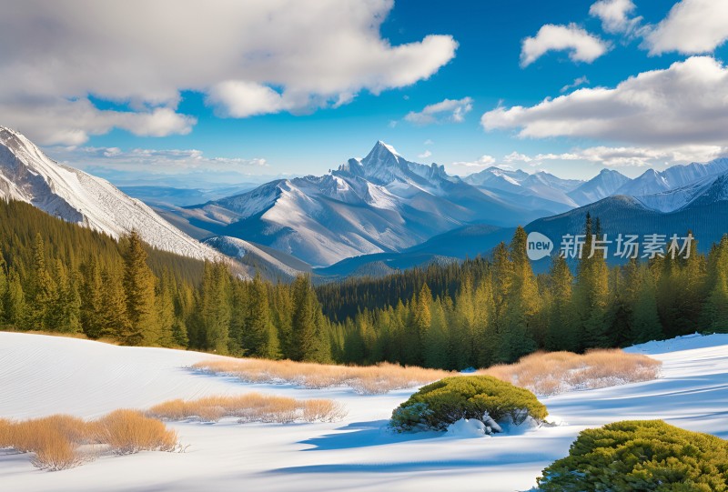 雪山高原草原森林风景