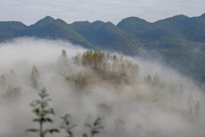 重庆酉阳：怎么就有秋的味道了