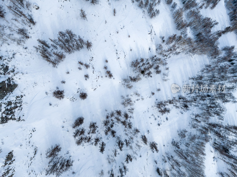 新疆喀纳斯雪景晨雾雪山森林雾凇