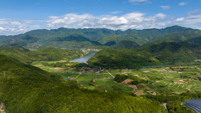 航拍乡村绿色稻田 乡村振兴