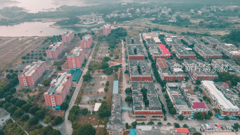 仰恩大学