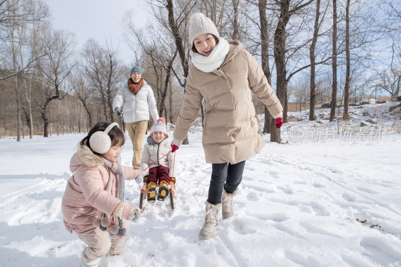 欢乐家庭在雪地上玩雪橇