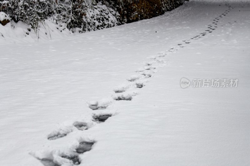 重庆酉阳：千氹田边飞白雪