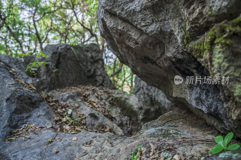 杭州凤凰山景区月岩石灰岩石林