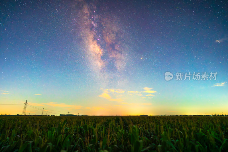 农田玉米地纯净银河星空