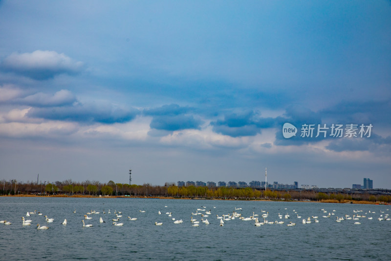 滹沱河正定新区全景风光