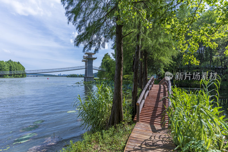 武汉东湖落雁峰景区风景