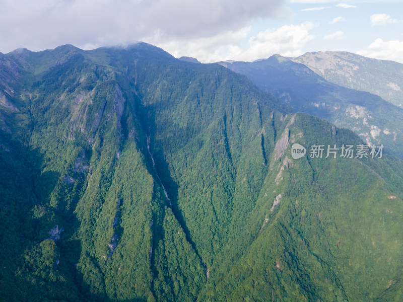 航拍湖北神农架大山原始森林