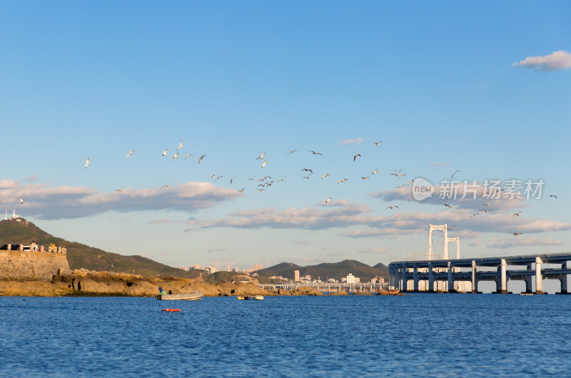 大连黑石礁公园海面上飞翔的海鸥