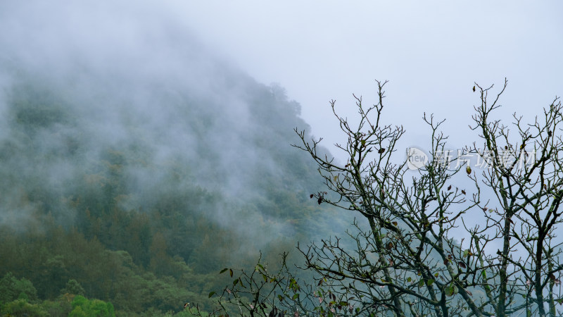 汉中留坝火烧店镇秦岭深处雨后山间的云雾