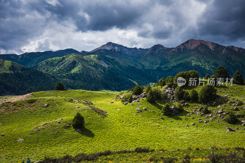 川西格聂草原自然风景