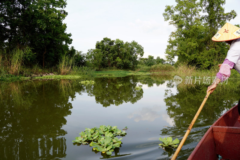 桂林会仙湿地景观