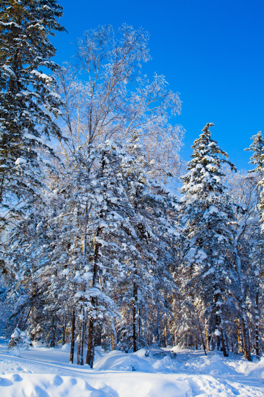 黑龙江 双峰林场 雪乡