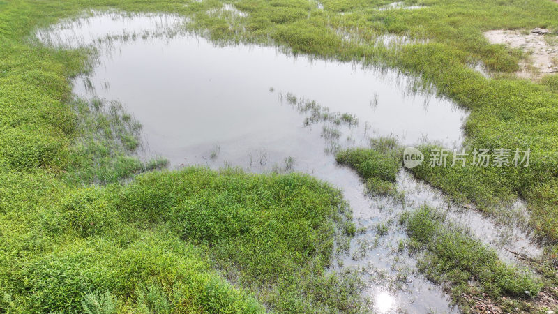 山东枣庄滕州市马河水库湿地风光