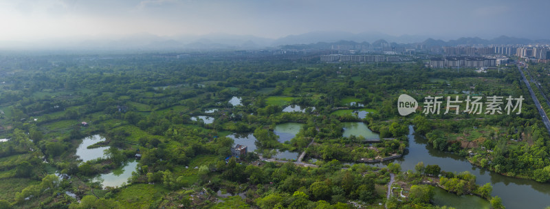 杭州余杭五常湿地夏天风光