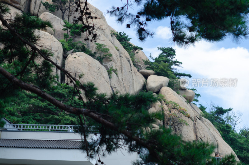 青岛崂山仰口景区，透过重叠的树看远处山峰