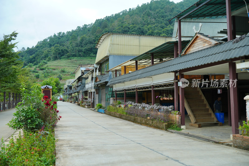 西双版纳现代农村房屋与田园风光