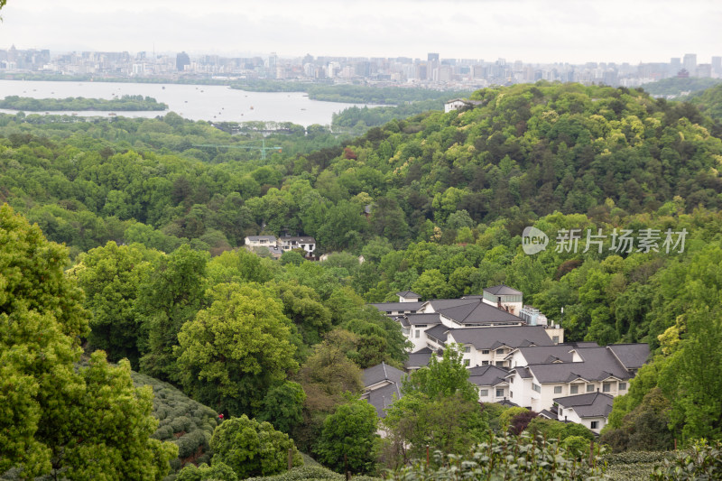 杭州龙井茶园俯瞰西湖全景与城市风光