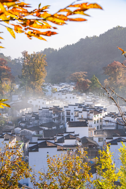 航拍江西婺源石城徽派建筑秋色枫叶村庄日出