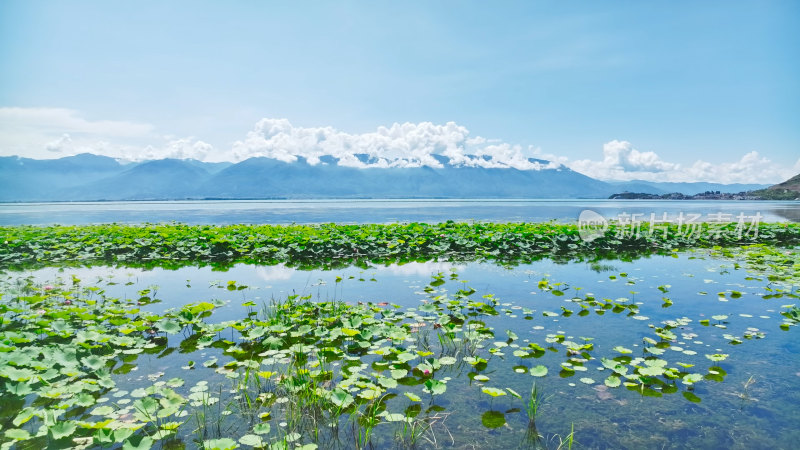 云南大理苍山洱海航拍