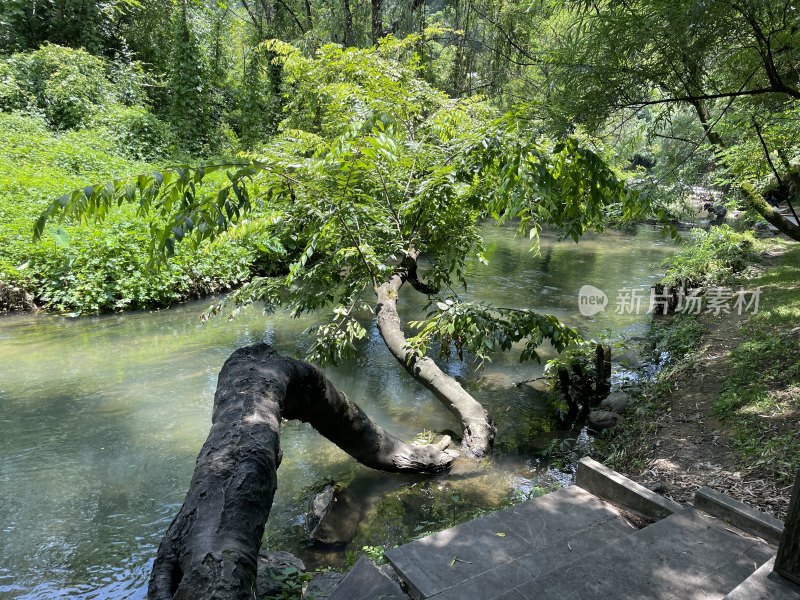 贵州省贵阳市花溪十里河滩景色