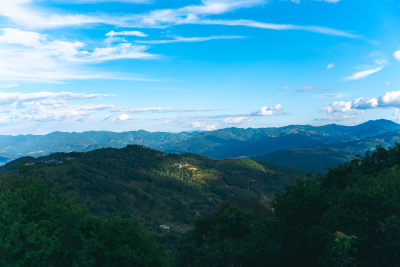 山顶风光