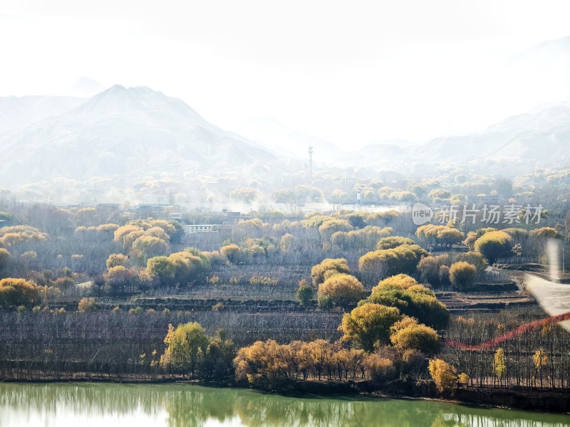 山水间的多彩树林自然风景全景