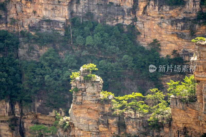 中国湖南张家界景区奇特山峰与茂密森林