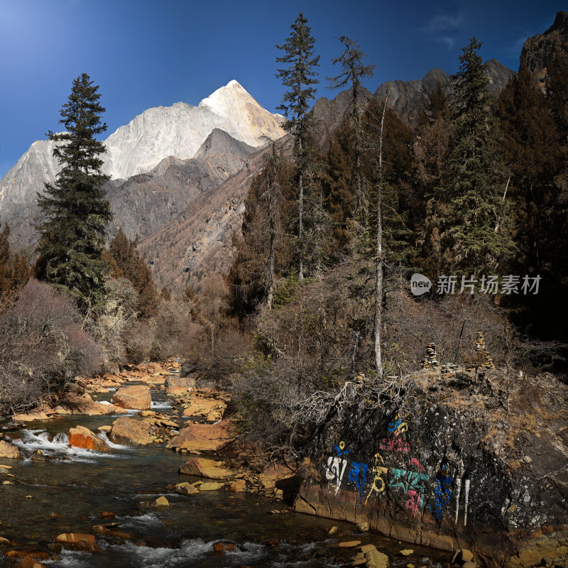 山间小溪流水与积雪高山相映成趣