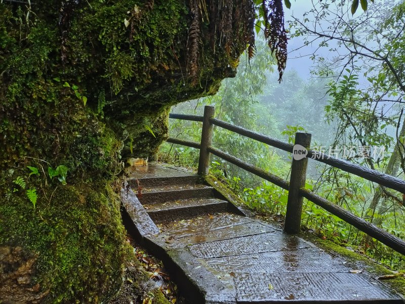 龙苍沟小景