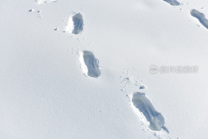 雪地上的脚印特写