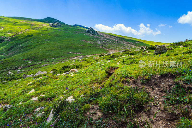 夏季蓝天白云绿色高山草甸群山大气风光