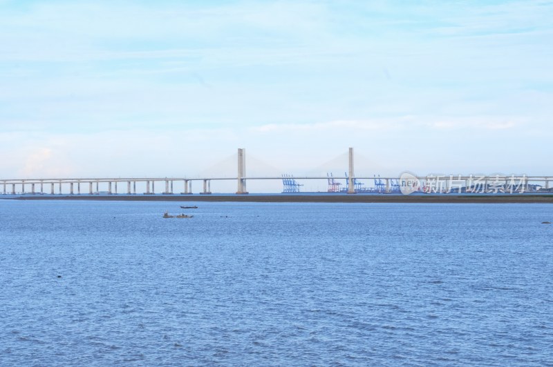 泉州海滨公园 大海与马鞭草