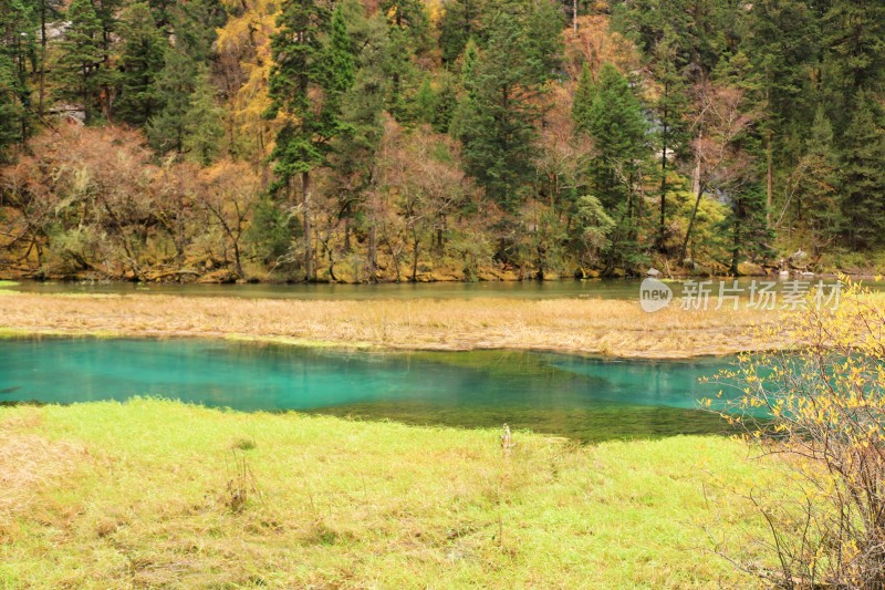 秋天九寨沟的水与草