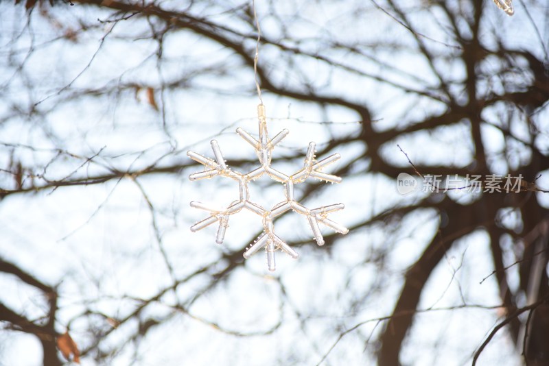 树枝间悬挂着的精致雪花装饰