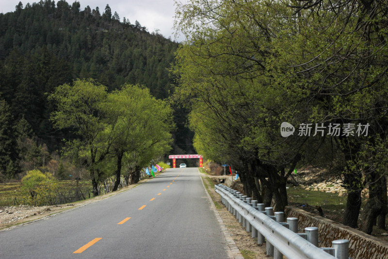 西藏林芝地区G318川藏公路沿途高原风光