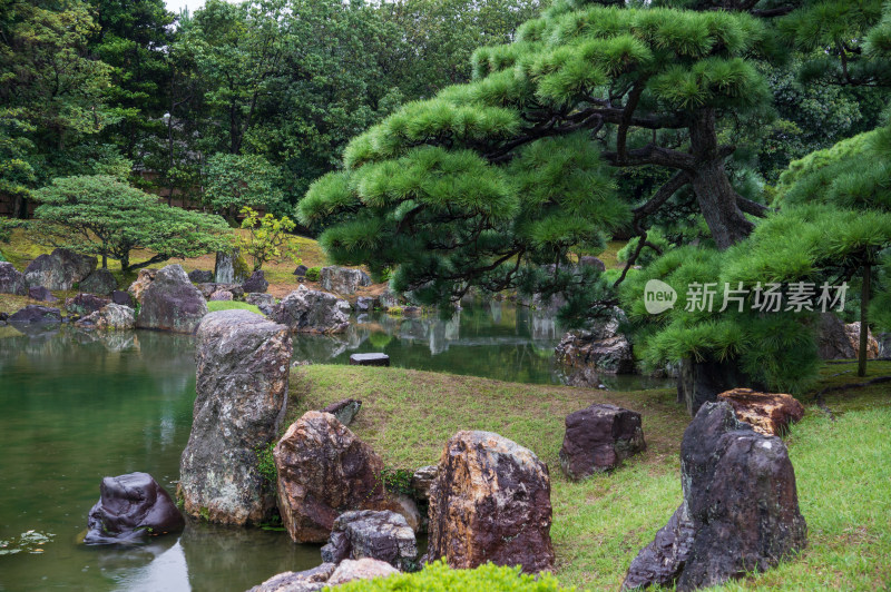 日本京都二条城内园林景观