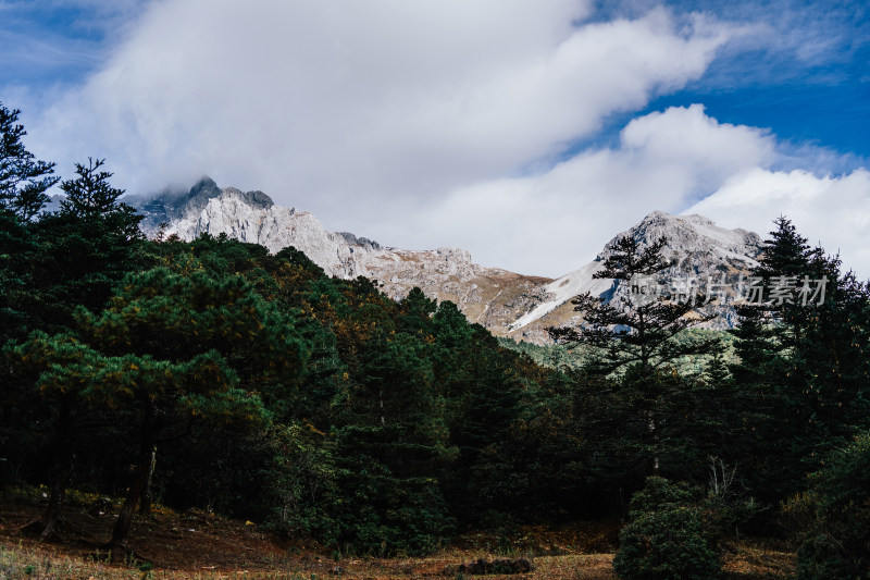 丽江玉龙雪山蚂蝗坝